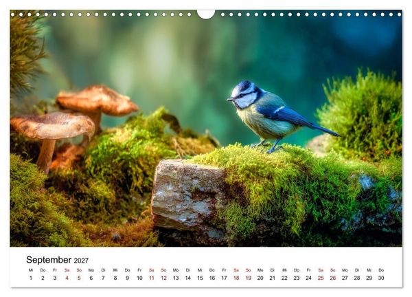 Produktbild: Federleicht - Das geheime Leben der Meisen (Wandkalender 2027 DIN A3 quer), CALVENDO Monatskalender