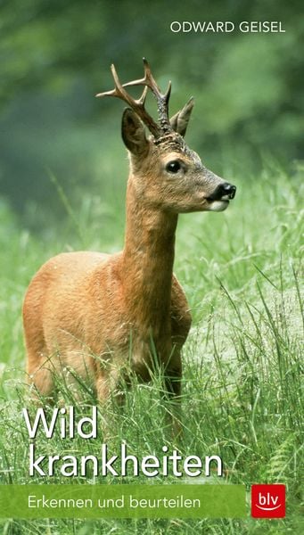 Produktbild: Wildkrankheiten