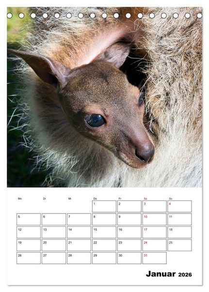 Produktbild: Australiens faszinierende Tierwelt (Tischkalender 2026 DIN A5 hoch), CALVENDO Monatskalender