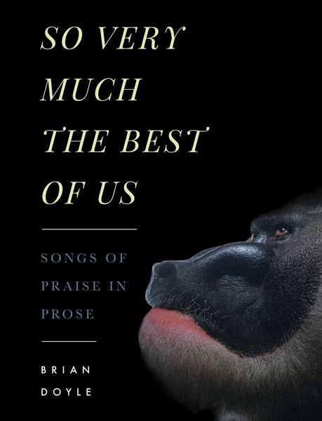Produktbild: So Very Much the Best of Us