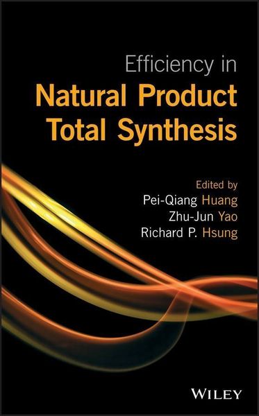 Produktbild: Efficiency in Natural Product Total Synthesis