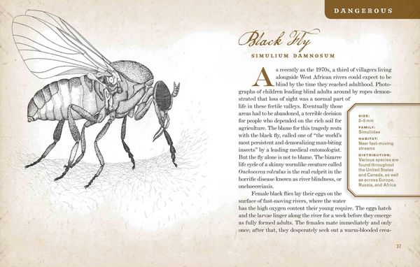 Produktbild: Wicked Bugs