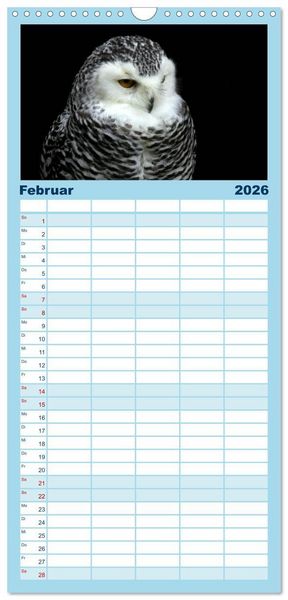 Produktbild: Familienplaner 2026 - Greifv&ouml;gel, Eulen und K&auml;uze mit 5 Spalten (Wandkalender, 21 x 45 cm) CALVENDO
