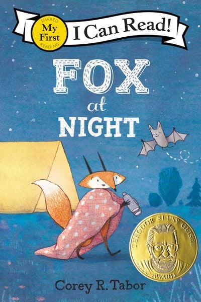 Produktbild: Fox at Night