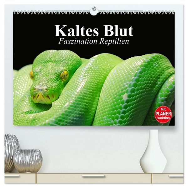 Produktbild: Kaltes Blut. Faszination Reptilien (hochwertiger Premium Wandkalender 2026 DIN A2 quer), Kunstdruck in Hochglanz