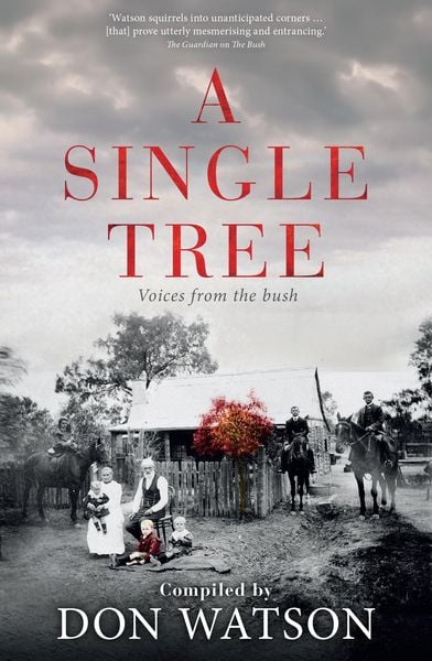 Produktbild: A Single Tree