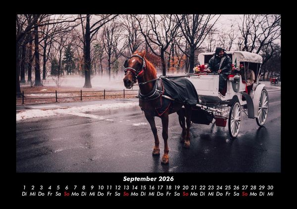 Produktbild: Pferde Kalender 2026 Fotokalender DIN A3