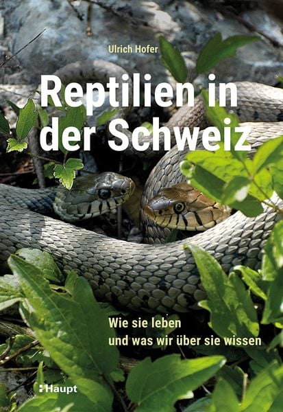 Reptilien in der Schweiz, Gebundene Ausgabe von Ulrich Hofer, Haupt Verlag, 978-3-258-08372-8