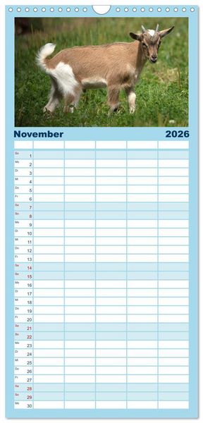 Produktbild: Familienplaner 2026 - Zwergziegen mit 5 Spalten (Wandkalender, 21 x 45 cm) CALVENDO