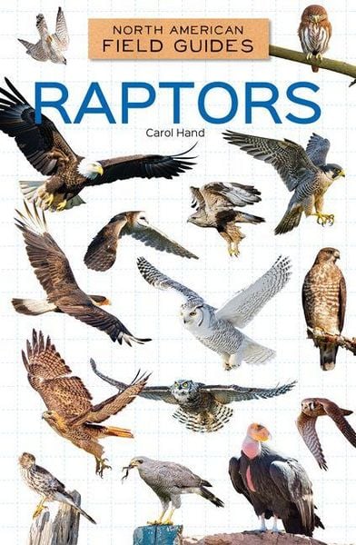 Produktbild: Raptors