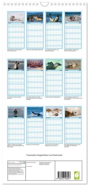 Produktbild: Familienplaner 2026 - Faszination Kegelrobben und Seehunde mit 5 Spalten (Wandkalender, 21 x 45 cm) CALVENDO