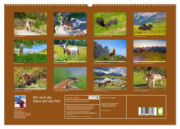 Produktbild: Wir sind die Stars auf der Alm (hochwertiger Premium Wandkalender 2026 DIN A2 quer), Kunstdruck in Hochglanz