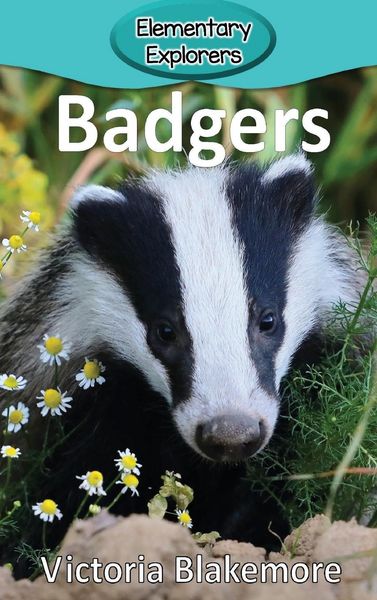 Produktbild: Badgers