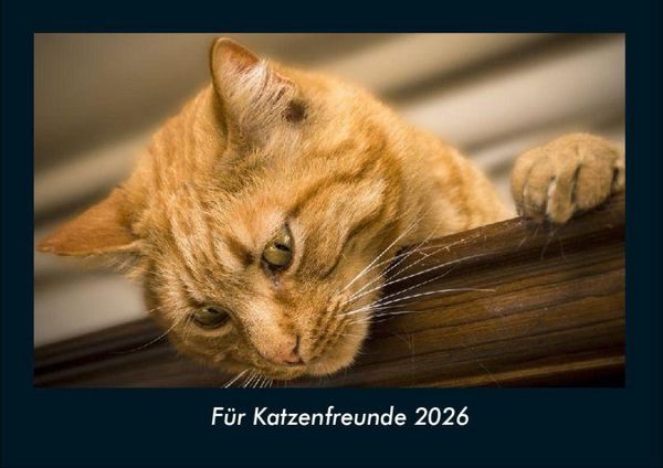 Für Katzenfreunde 2026 Fotokalender DIN A4