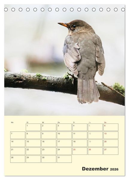 Produktbild: Vogelwelt an der Sieg (Tischkalender 2026 DIN A5 hoch), CALVENDO Monatskalender