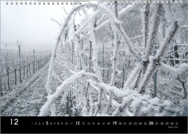 Produktbild: Der Weinkalender 2027, DIN A3 &ndash; ein Fotokalender