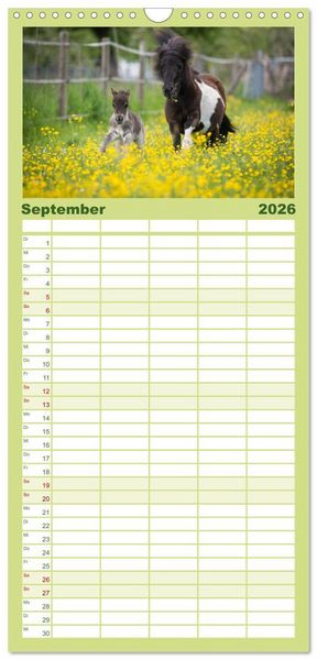 Produktbild: Familienplaner 2026 - Ponys. Herzensbrecher mit Grips mit 5 Spalten (Wandkalender, 21 x 45 cm) CALVENDO