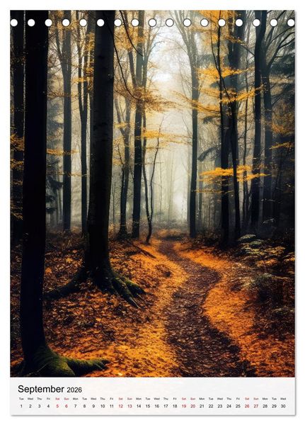 Produktbild: Dreamscapes of the Forest (Desk Calendar 2026 DIN A5 portrait), CALVENDO 12 Month DeskCalendar