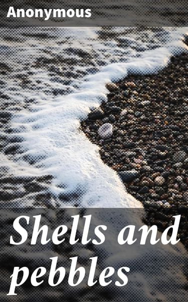 Produktbild: Shells and pebbles