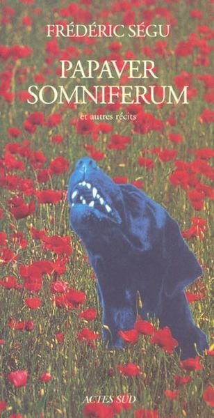 Produktbild: Papaver Somniferum