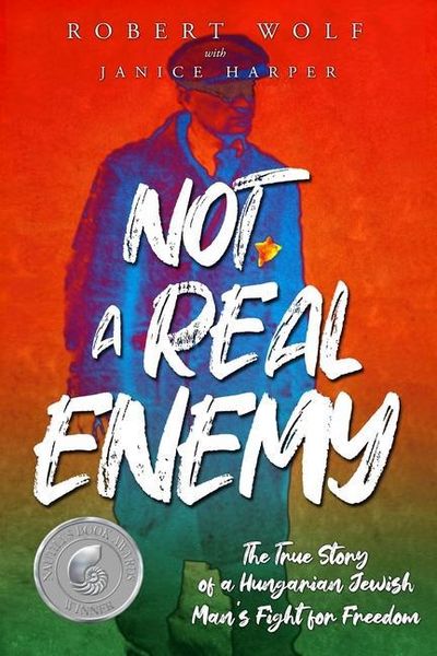 Produktbild: Not A Real Enemy