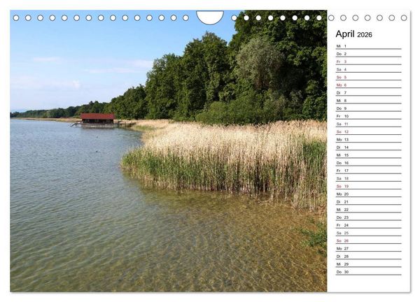 Produktbild: Seest&auml;rke - Der Ammersee (Wandkalender 2026 DIN A4 quer), CALVENDO Monatskalender