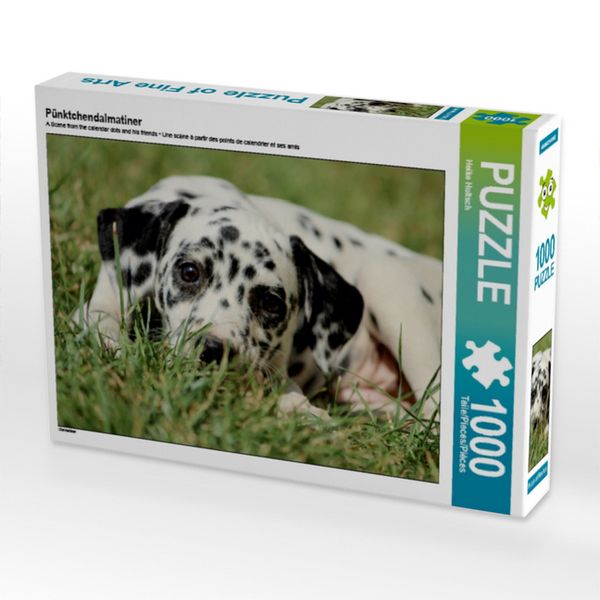 CALVENDO Puzzle Pünktchendalmatiner | 1000 Teile Lege-Größe 64x48cm Foto-Puzzle für glückliche Stunden