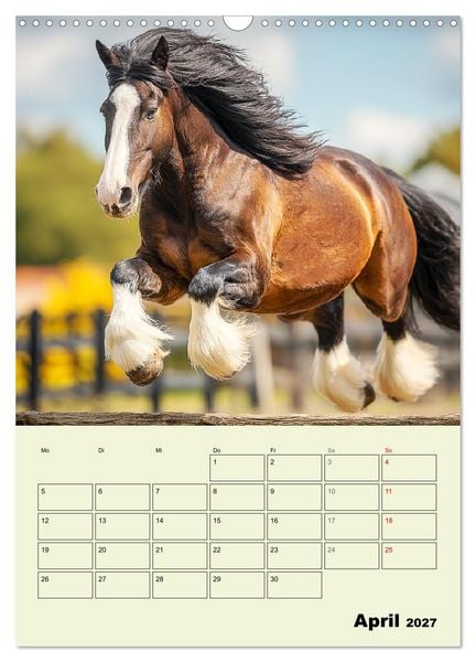 Produktbild: Shire Horse Magie. Englands sanfte Giganten (Wandkalender 2027 DIN A3 hoch), CALVENDO Monatskalender