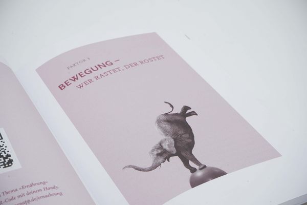 Produktbild: Die Jungbrunnen-Formel - Das Praxisbuch