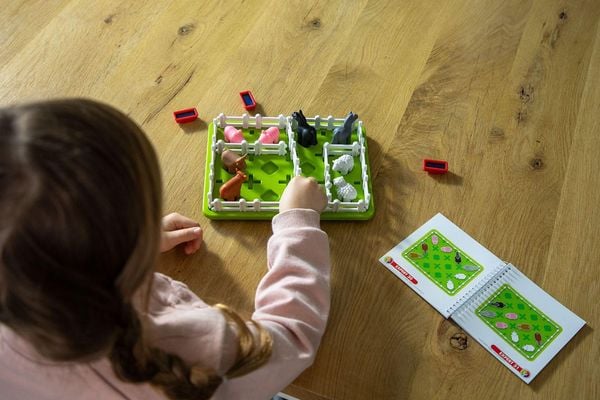 Produktbild: Chaos auf der Koppel