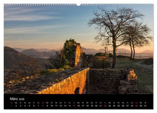 Produktbild: Mystischer Pf&auml;lzer Wald (hochwertiger Premium Wandkalender 2026 DIN A2 quer), Kunstdruck in Hochglanz