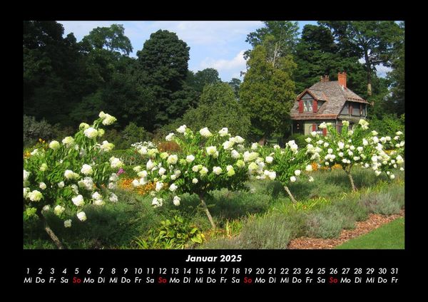 Produktbild: Blumenzauber 2025 Fotokalender DIN A3