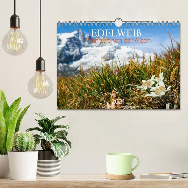 Produktbild: Edelwei&szlig; - Wahrzeichen der Alpen (Wandkalender 2026 DIN A4 quer), CALVENDO Monatskalender
