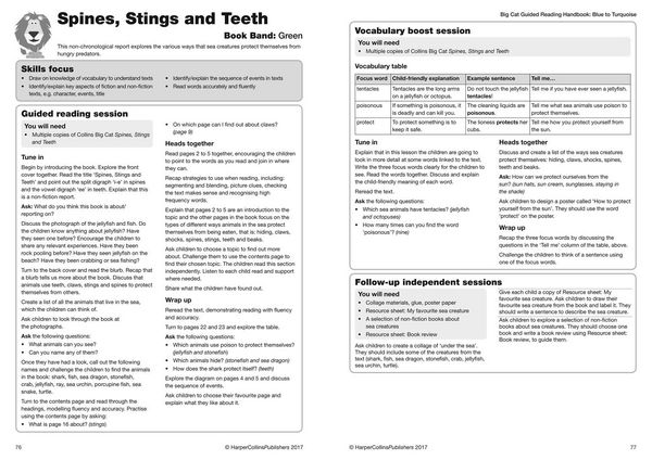 Produktbild: Collins Big Cat - Guided Reading Handbook Yellow to Green