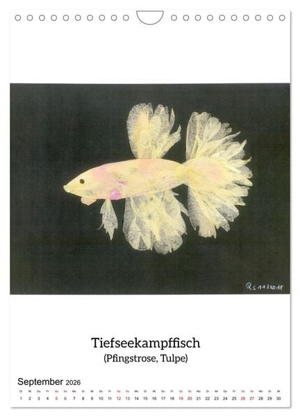 Produktbild: Nat&uuml;rlich Natur - Gepresste Bl&uuml;ten erwachen zum Leben (Wandkalender 2026 DIN A4 hoch), CALVENDO Monatskalender