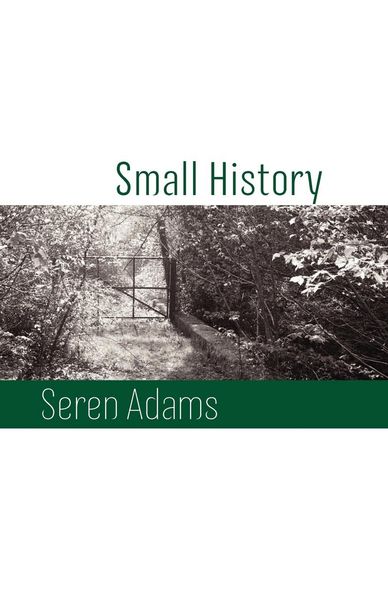 Produktbild: Small History