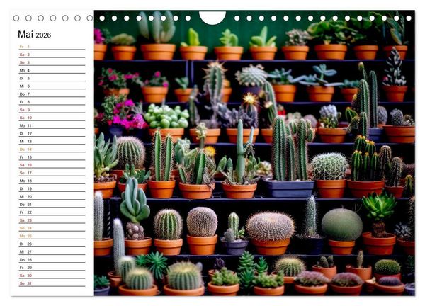 Produktbild: Kaktuszauberland (Wandkalender 2026 DIN A4 quer), CALVENDO Monatskalender