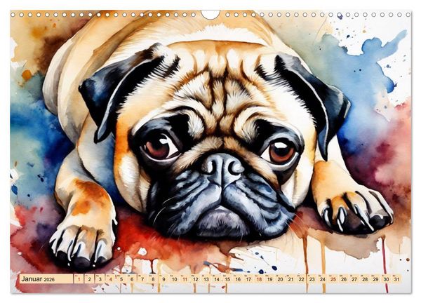 Produktbild: Knuffige M&ouml;pse (Wandkalender 2026 DIN A3 quer), CALVENDO Monatskalender