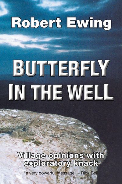 Produktbild: Butterfly in the Well