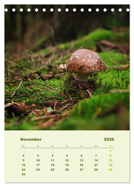Produktbild: Wundersame Welt der Pilze (Tischkalender 2026 DIN A5 hoch), CALVENDO Monatskalender