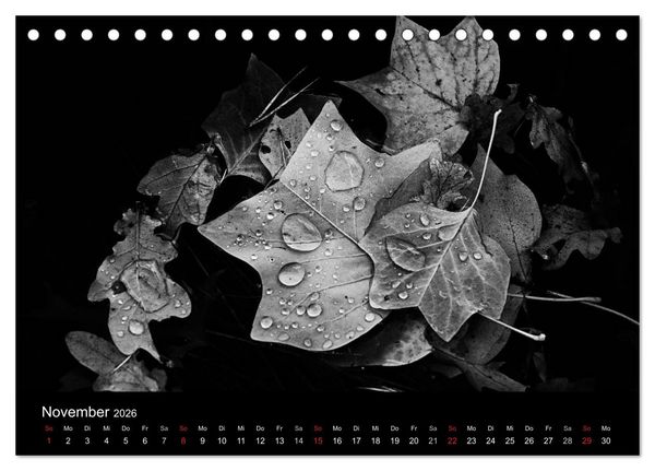 Produktbild: Das Licht in Schwarz und Wei&szlig; (Tischkalender 2026 DIN A5 quer), CALVENDO Monatskalender