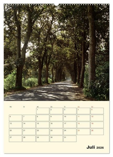 Produktbild: Usedom (hochwertiger Premium Wandkalender 2026 DIN A2 hoch), Kunstdruck in Hochglanz