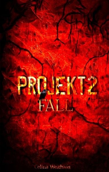 Fall - Projekt II