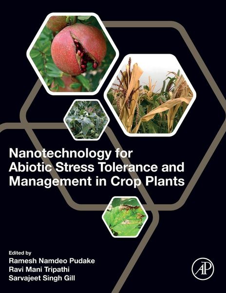 Produktbild: Nanotechnology for Abiotic Stress Tolerance and Management in Crop Plants