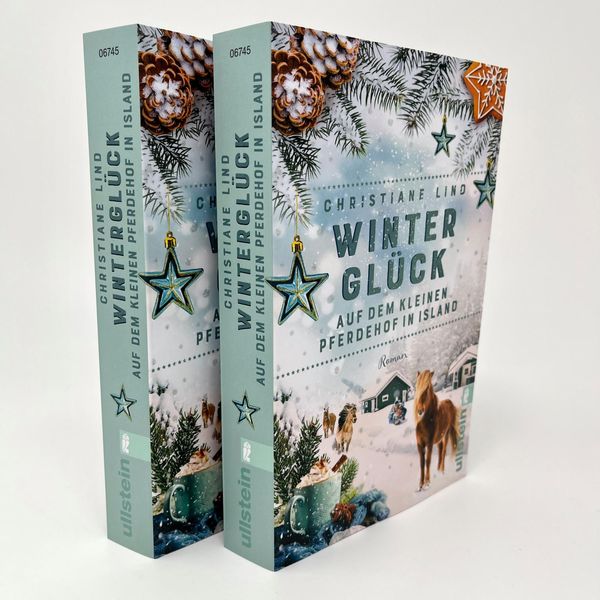 Produktbild: Wintergl&uuml;ck auf dem kleinen Pferdehof in Island