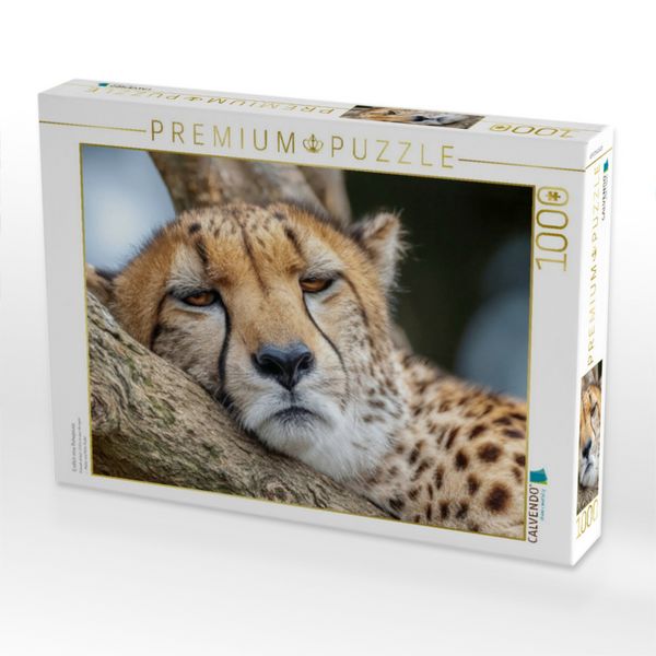 Produktbild: CALVENDO Puzzle Endlich eine Ruhepause | 1000 Teile Lege-Gr&ouml;&szlig;e 64x48cm Foto-Puzzle f&uuml;r gl&uuml;ckliche Stunden