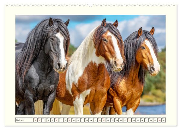 Produktbild: Irlands Pferde. Irish Tinker zwischen Weiden, Wasser und Wald (Wandkalender 2027 DIN A2 quer), CALVENDO Monatskalender