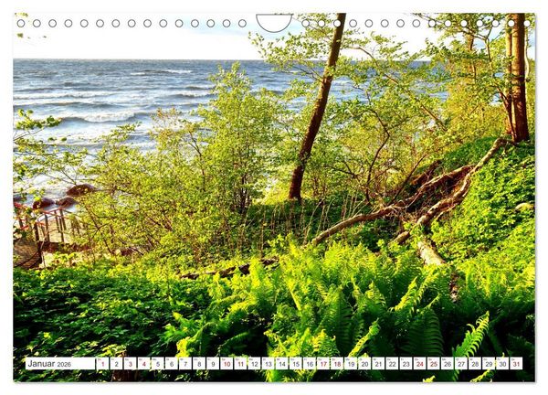 Produktbild: Gr&uuml;nes Estland - Naturparadies am Baltischen Meer (Wandkalender 2026 DIN A4 quer), CALVENDO Monatskalender