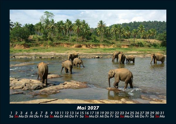 Produktbild: Tierkalender 2027 Fotokalender DIN A5