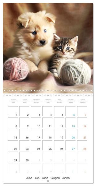 Produktbild: Mignon duo (Calendrier mural carr&eacute; 2026 30x30 cm) Calendrier double avec une page pour vos prises de notes